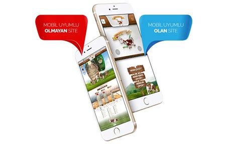WordPress Web Tasarım WordPress Web Tasarım